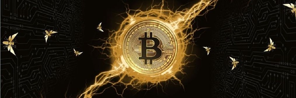 davidbarge's profile banner image