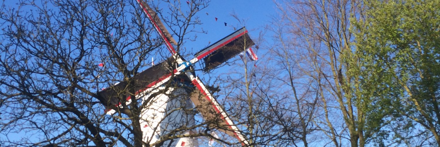 NL🇳🇱in Moldova🇲🇩 banner