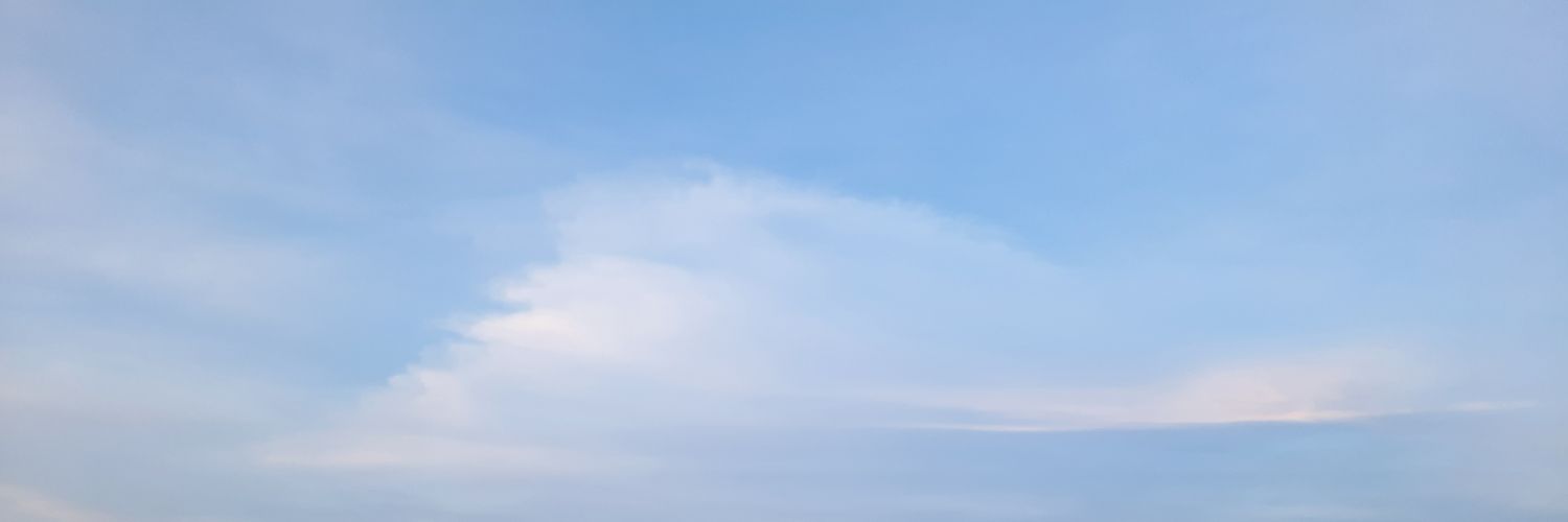 highSylvister banner
