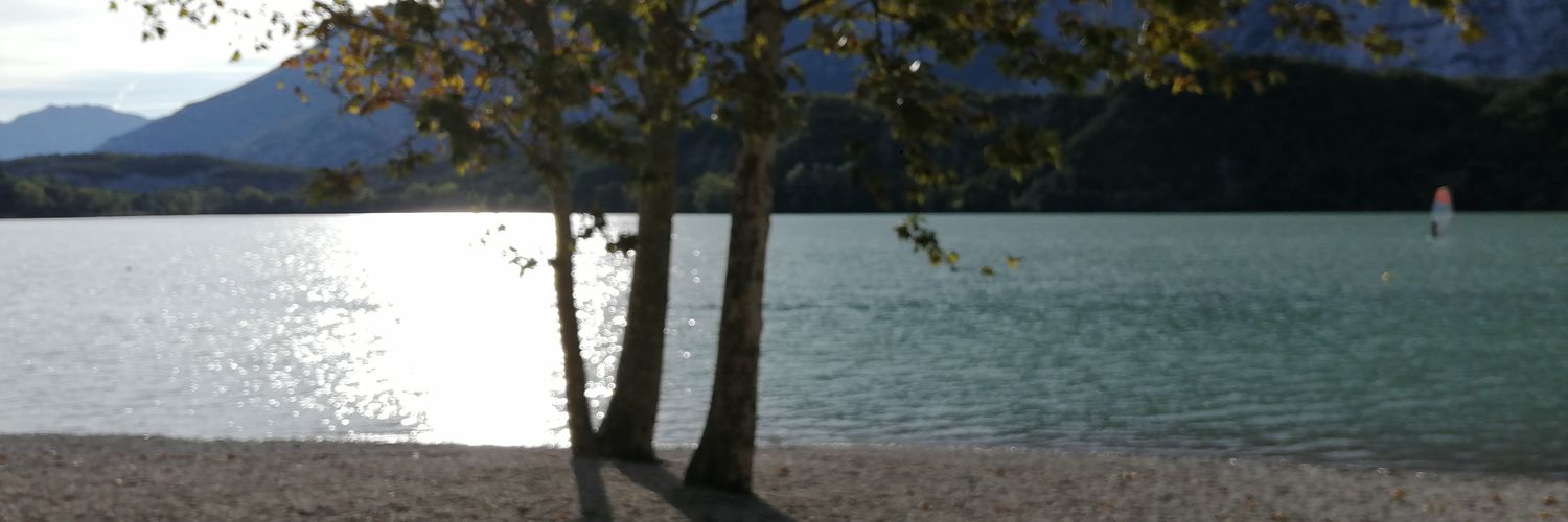 ciquta banner