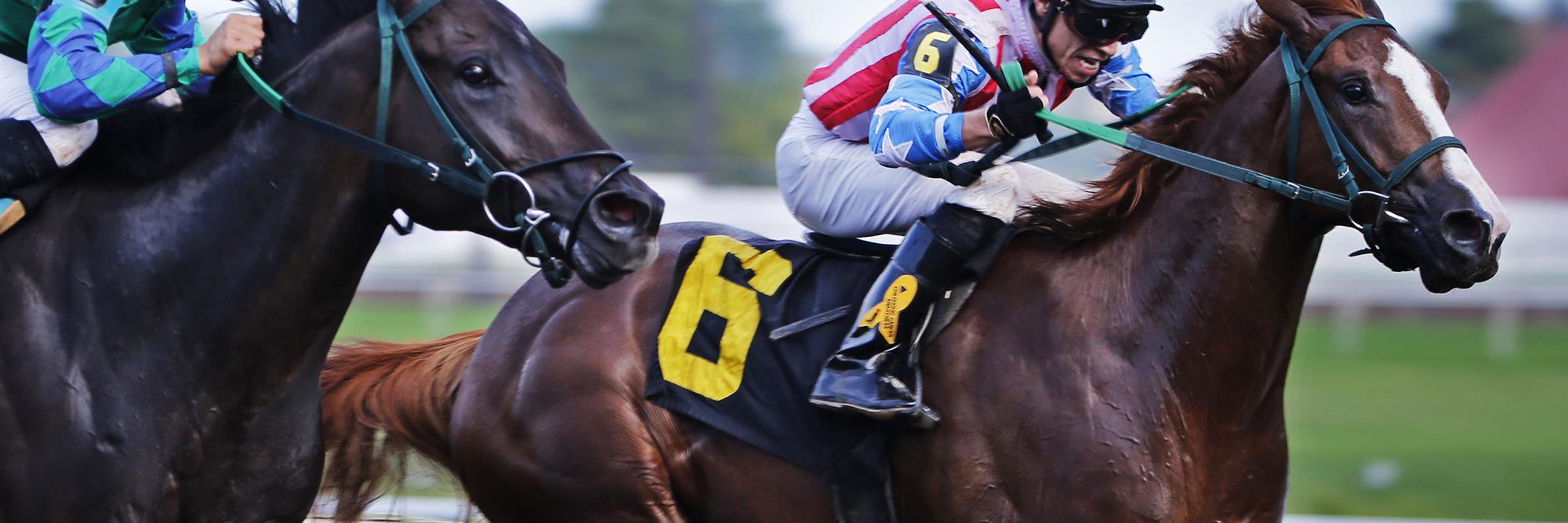 Brian Arrigoni banner