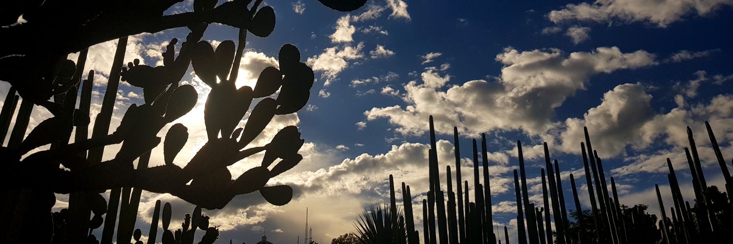 maspimienta's profile banner image