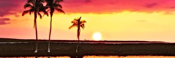 CallumE_1995's profile banner image