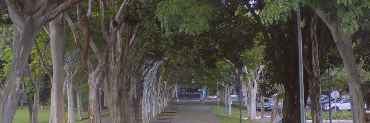 Marceellou's profile banner image