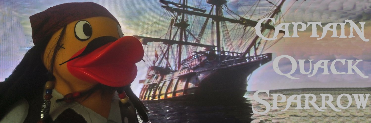 Quack Sparrow banner