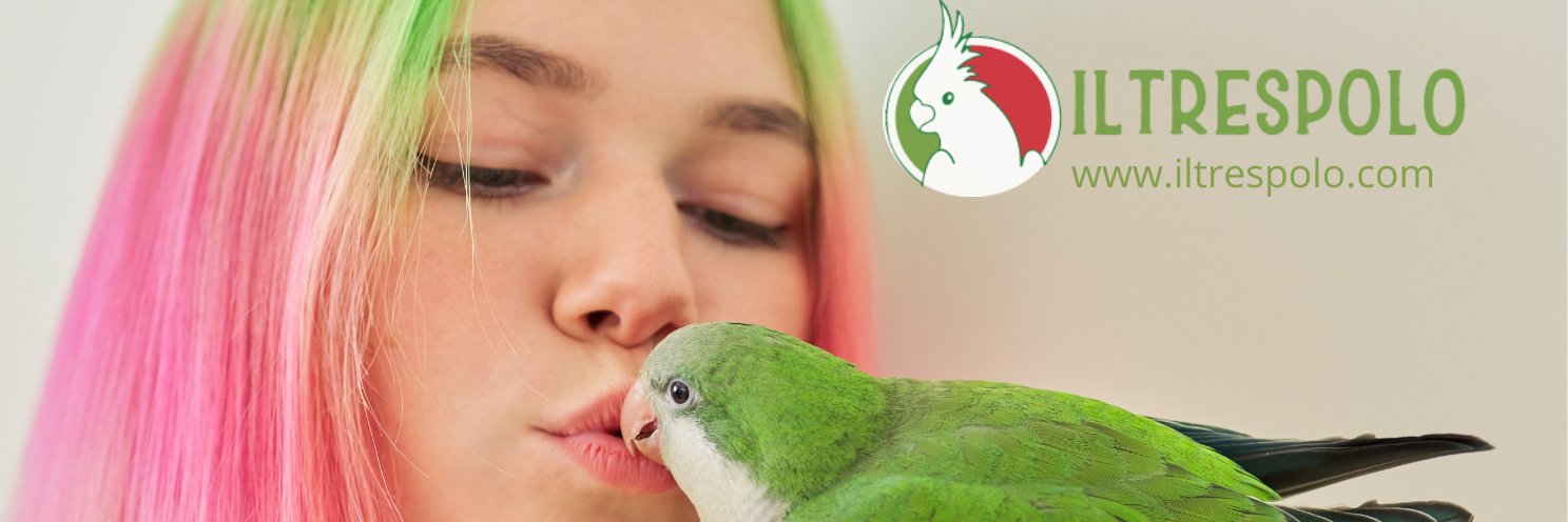 IlTrespolo's profile banner image
