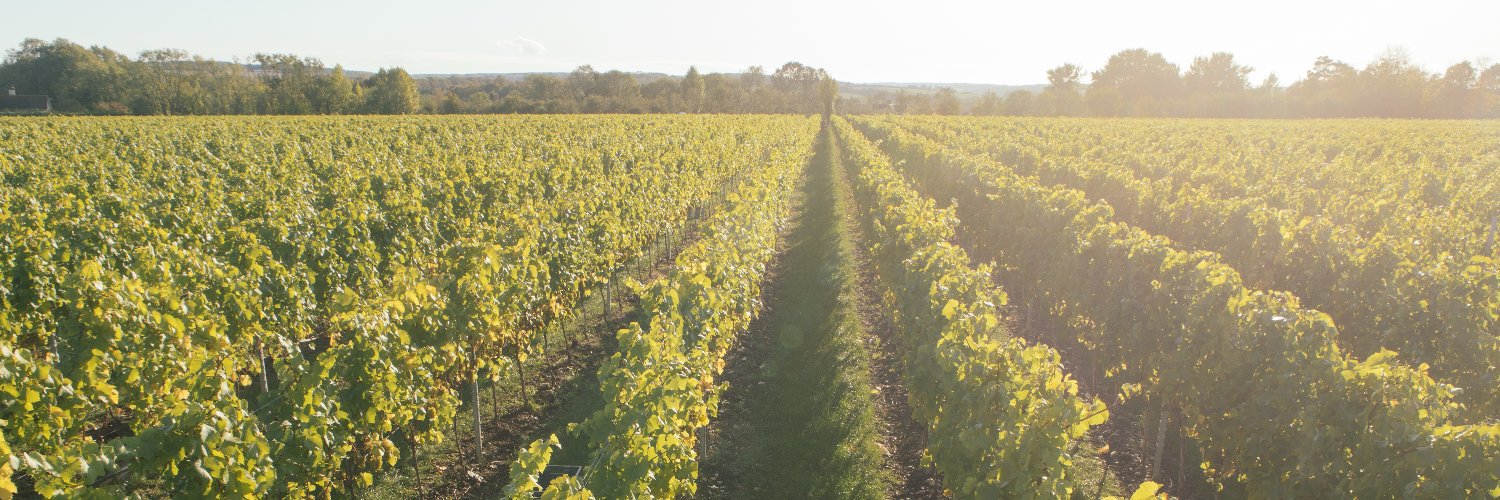 Heppington Vineyard banner