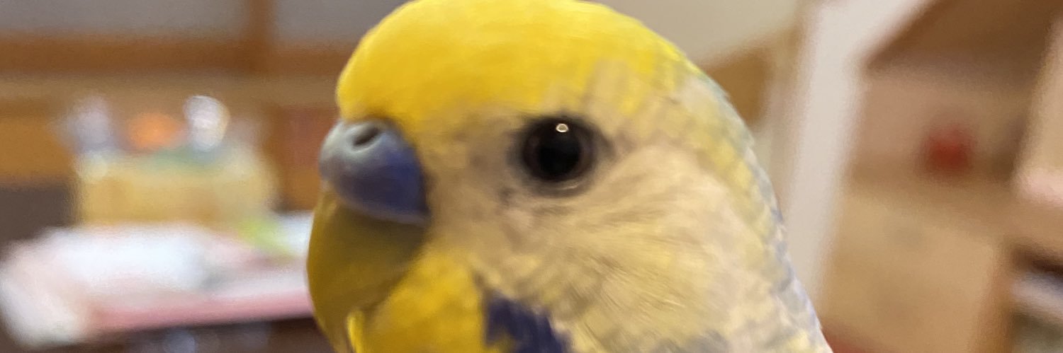 mtmtmsmsmpmp's profile banner image