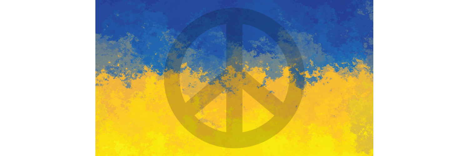 kinky art 💙💛 banner