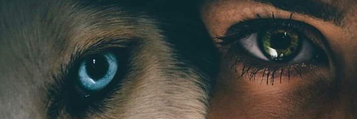 Khanzad_Azad's profile banner image
