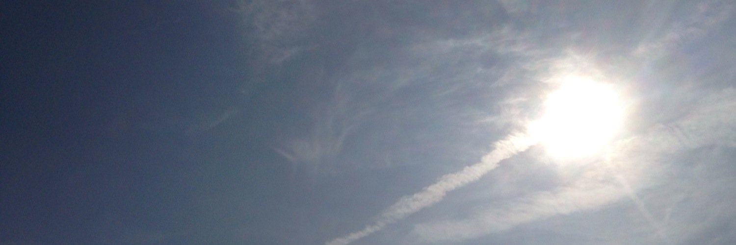 rain nie  胡丹妮 banner