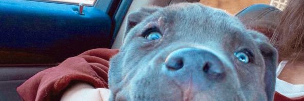 ty_fuqua4's profile banner image