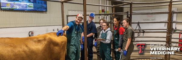 TTUVetMed Profile Banner