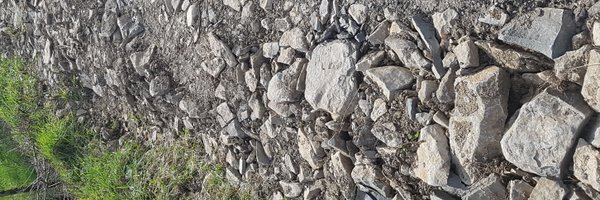 mlb9146 Profile Banner