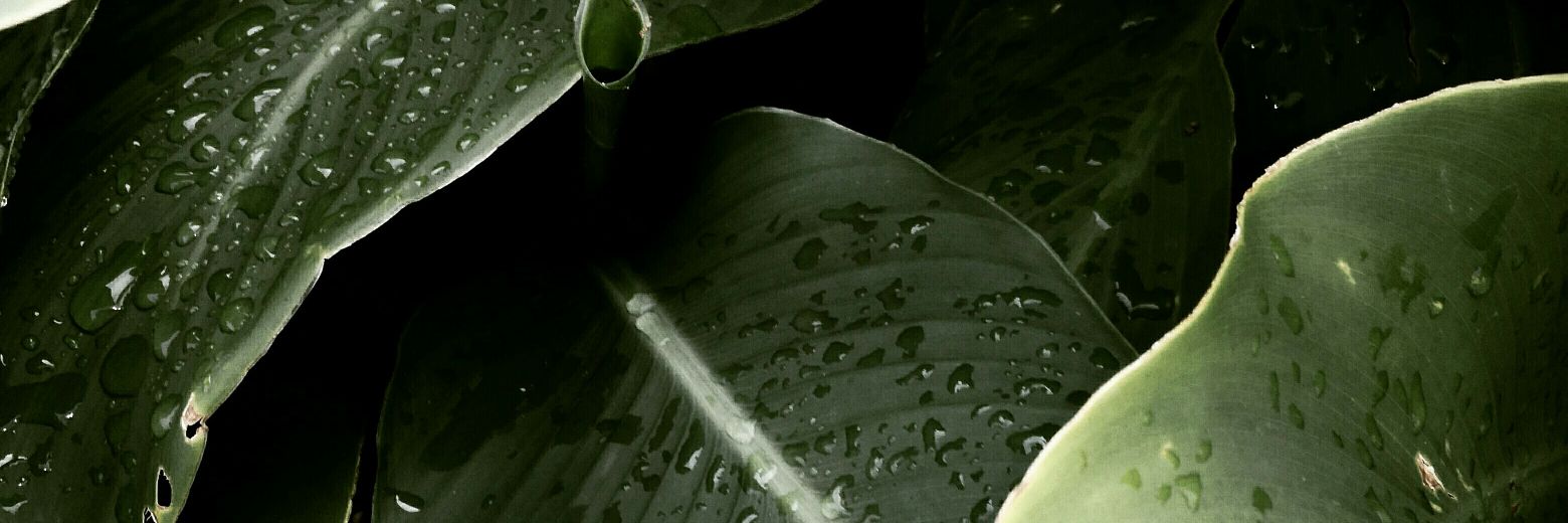 _cindykg's profile banner image