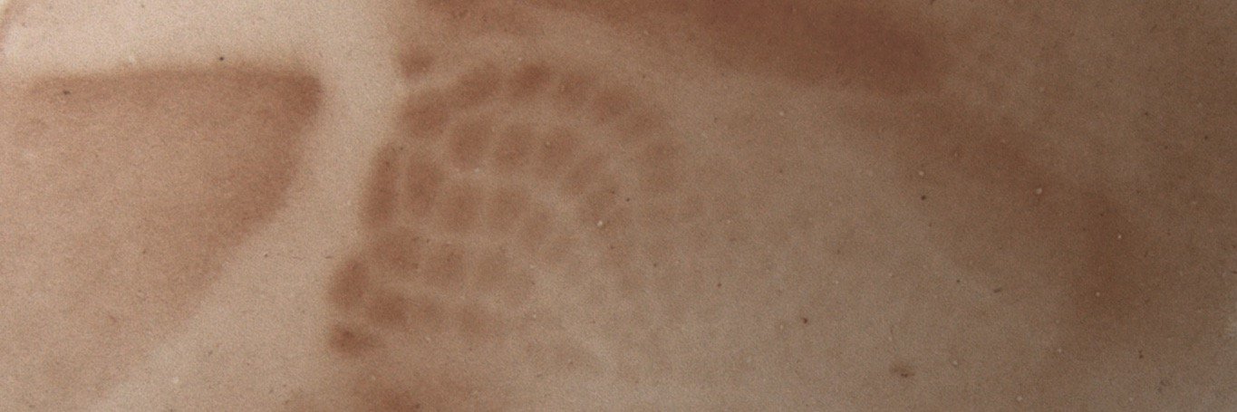MSUM_Neurobio's profile banner image