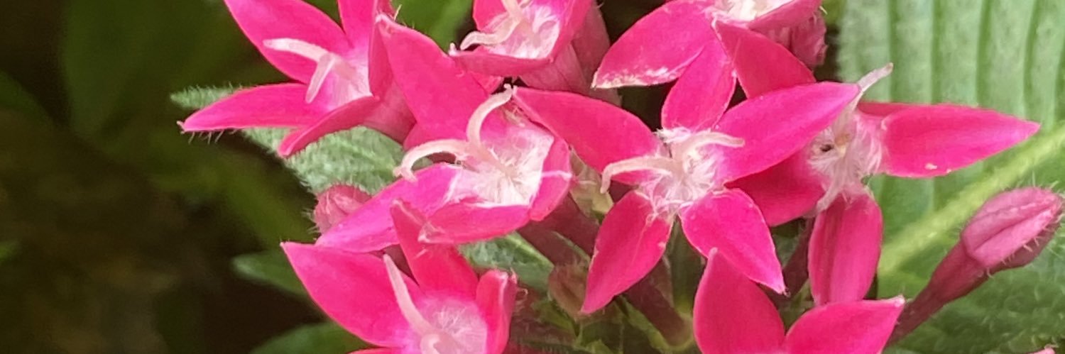 manaviip's profile banner image