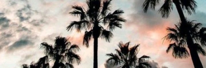 FloorVenier's profile banner image