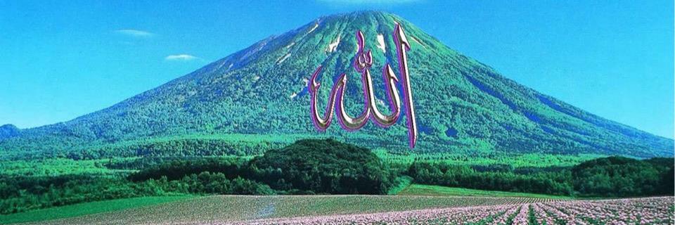 altun535's profile banner image