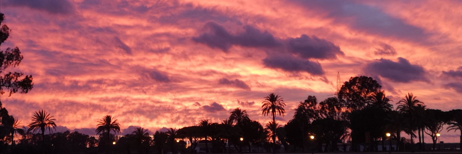 Garrocho2's profile banner image