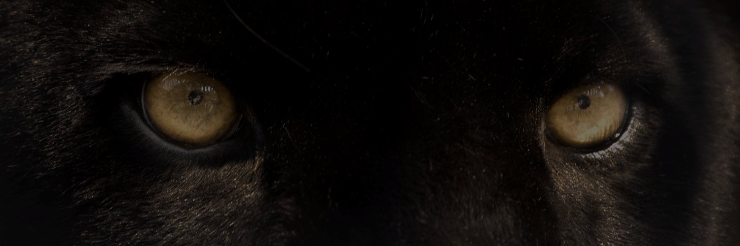 StealthSecInc's profile banner image