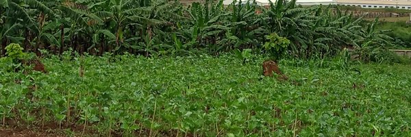 Jalwee Profile Banner