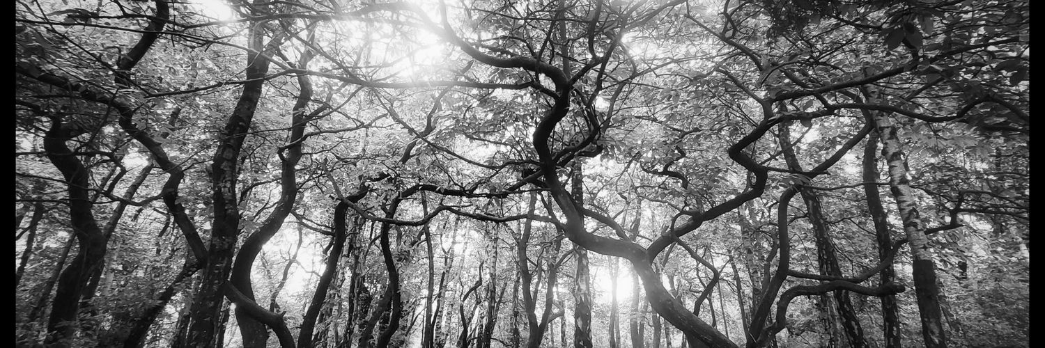 SaraGaynorPhoto's profile banner image