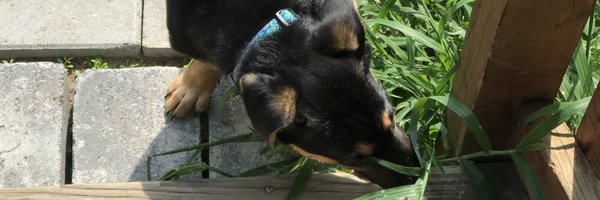 RyanSesselman Profile Banner