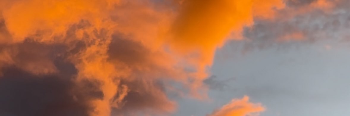 brdigette's profile banner image