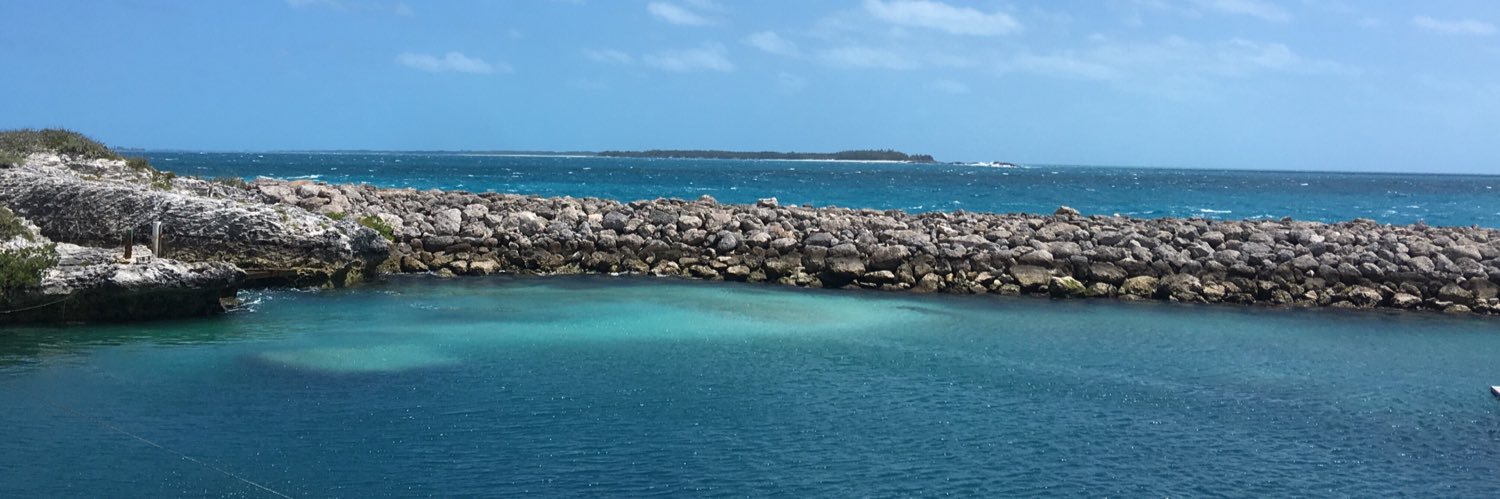jackielist1's profile banner image