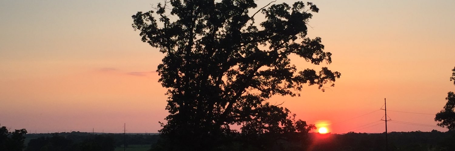 shayyna__'s profile banner image