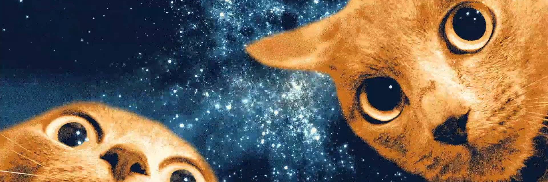 nailacosta's profile banner image