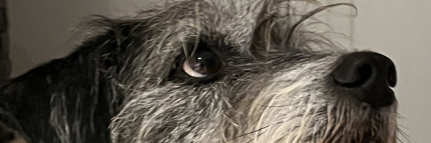 Yaprak Özdemiroğlu banner