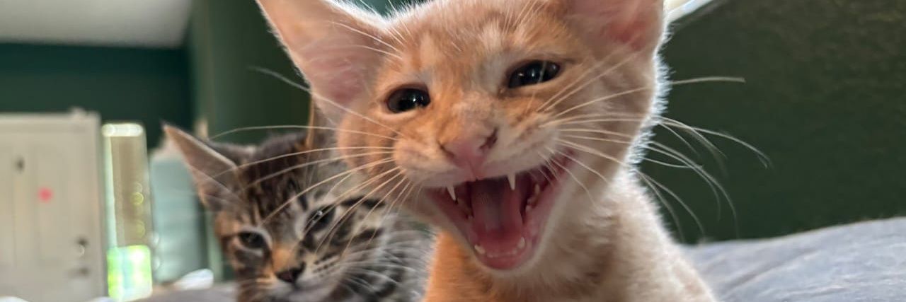 cathybamx's profile banner image