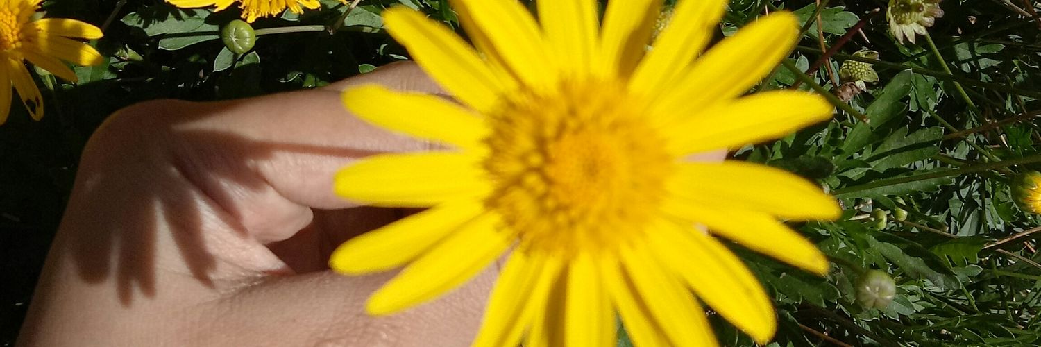 fatiinatiera's profile banner image