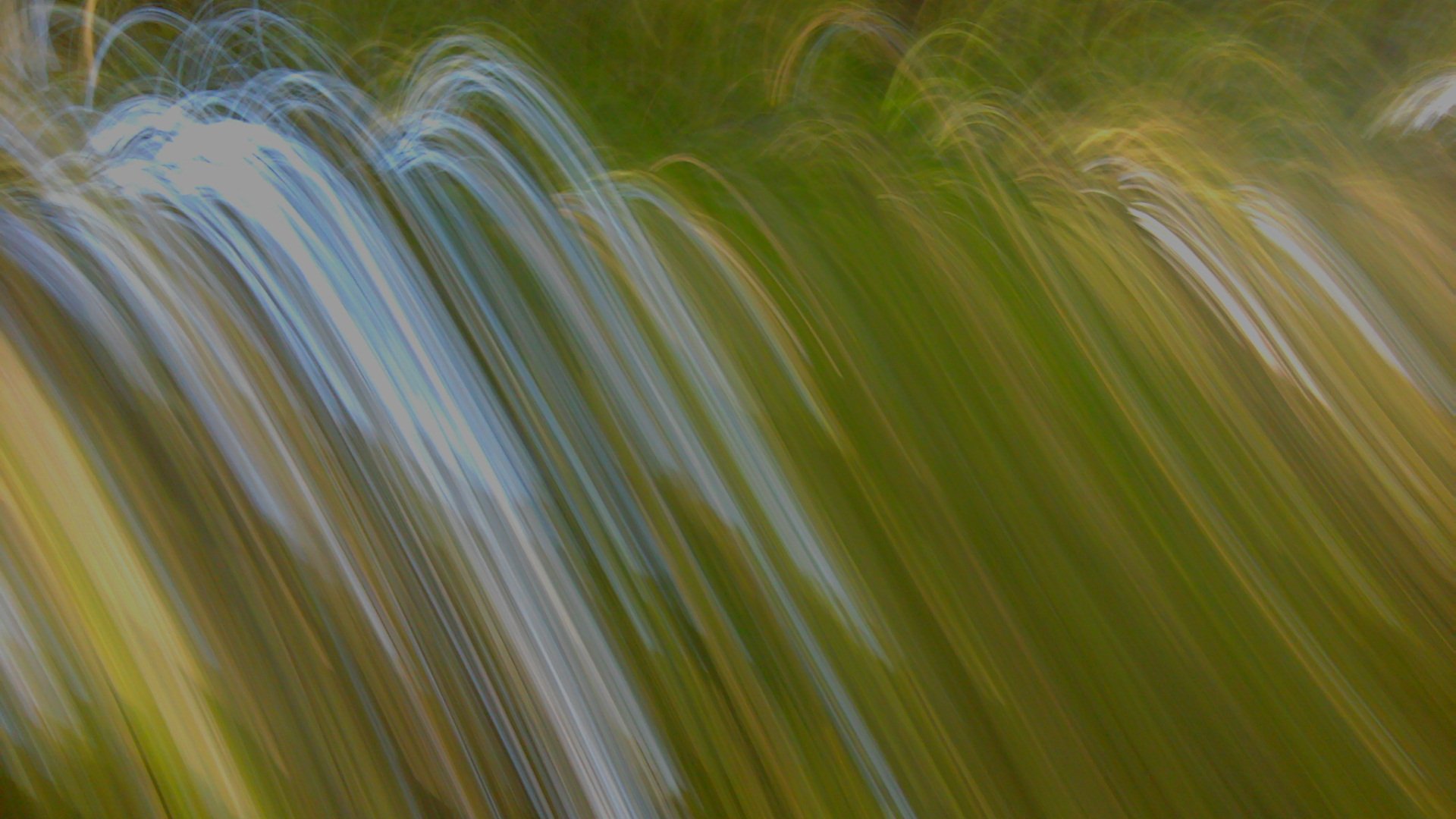 xane_m3's profile banner image