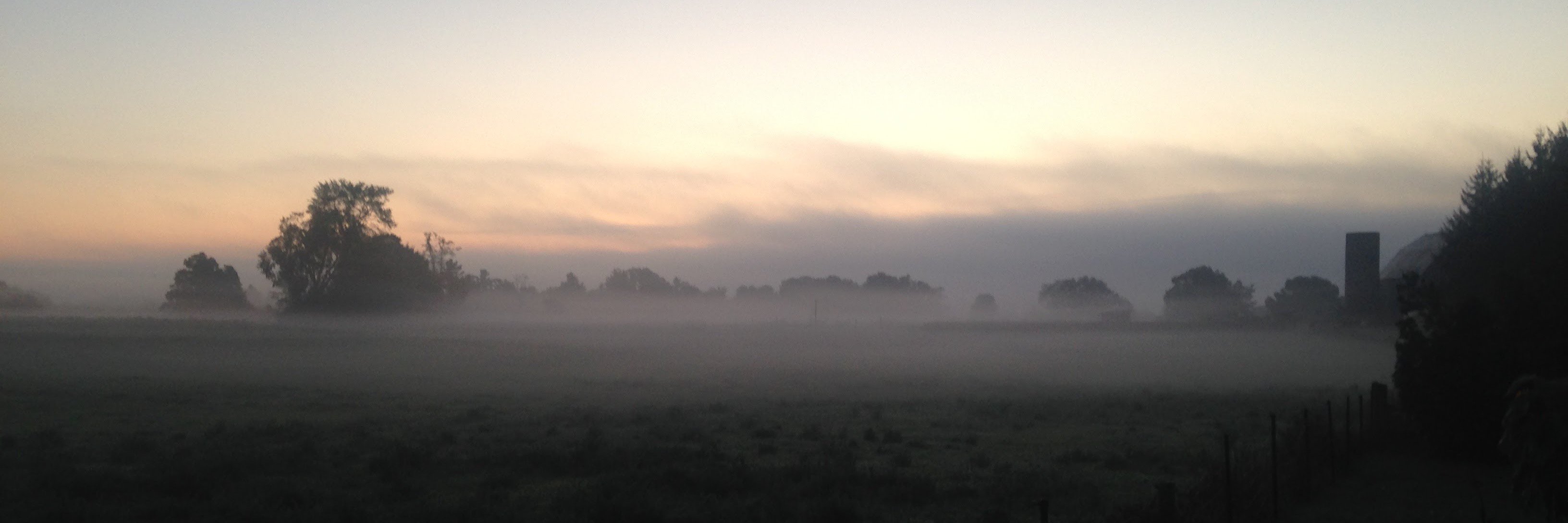 Richard Allen banner