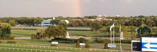 noelmail1 Profile Banner