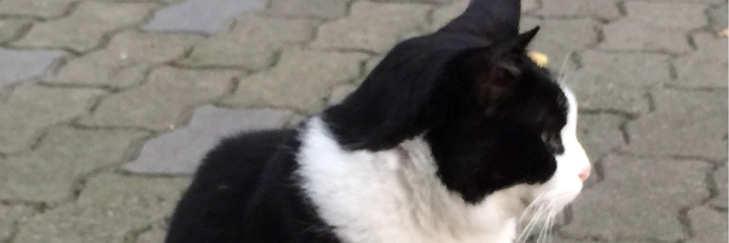uutan1's profile banner image