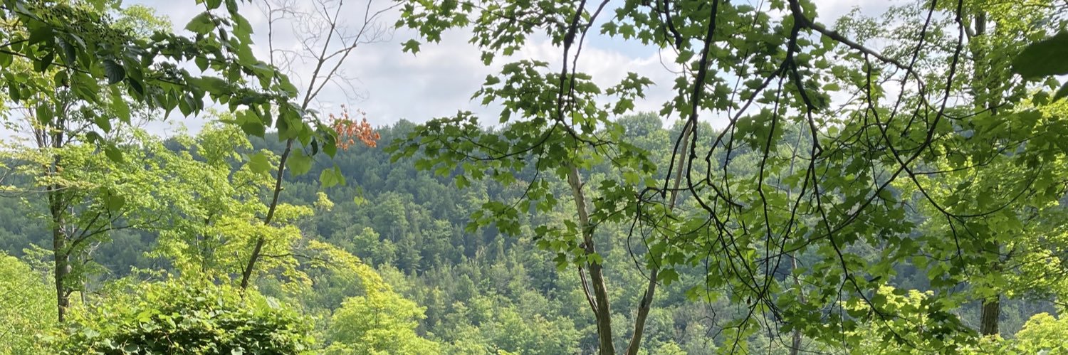 dangibson33's profile banner image