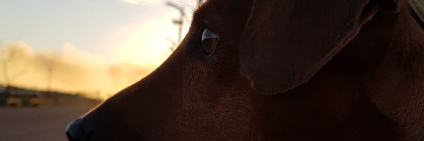 RBKkottz's profile banner image