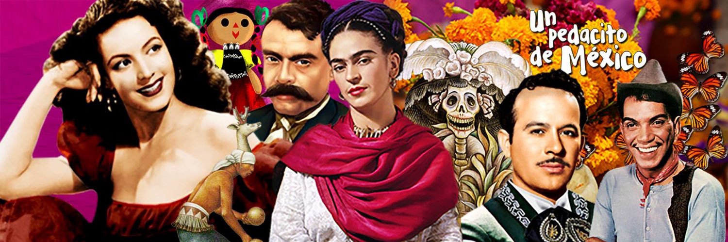 colorcolibri's profile banner image