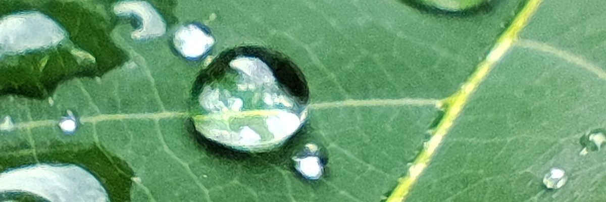 van h banner