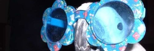 blandndull's profile banner image