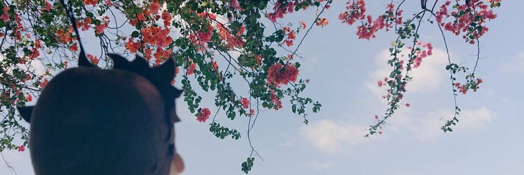 tofu_1028513's profile banner image
