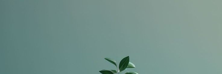 idlobeu's profile banner image