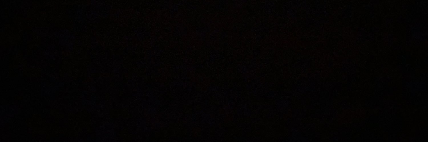minnie banner