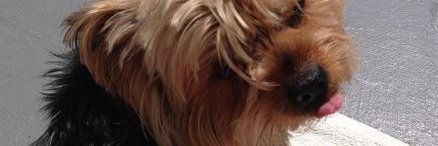 BelberMJ88's profile banner image