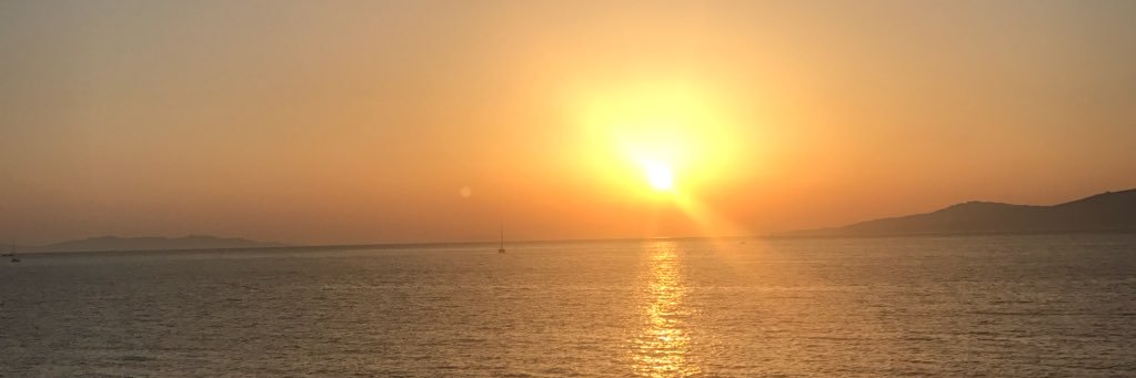 martafgon's profile banner image