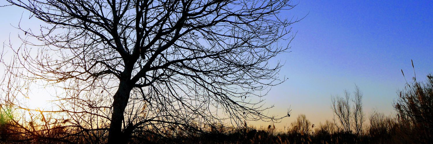 Francisco J. Fernández Medina banner